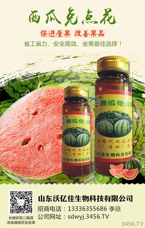 如何鉴别西瓜种子 西瓜种子农药处理小技巧