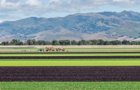 Report card from California: Farmers and investors need more education on ag biologicals