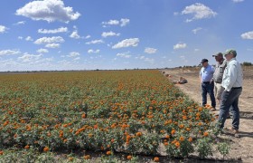 Why smarter water management is critical for farmer returns