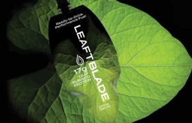 Study Finds Leaf Protein Biorefineries Could Meet Global Protein Needs Within Two Years in a Food Crisis