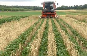 Established Networks Are Limiting What Agri-Startups Can Actually Change, Study Finds