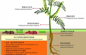 中药材种子处理剂农药登记现状