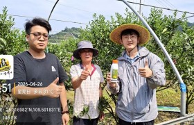 全新一代双导杀菌修复剂——亿嘉金朝颜：作物健康的″防护盾″+″修复剂″