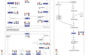 江西农科院自研克里本类芽孢杆菌微生物菌剂，对芝麻青枯病防效优异