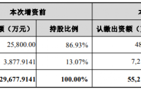 贝斯美向铜陵控股子公司增资2.22亿元
