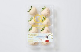 Can Culta take Japan’s premium fruit model global?