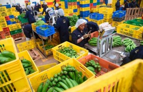 Twiga’s demise underscores the need for new financing models in African agrifoodtech