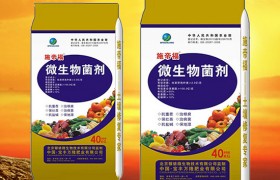 花生什么时候种植，花生播种技术要点总结