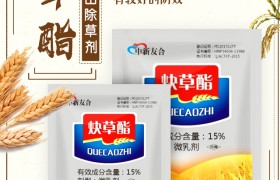 哪种麦田一发生倒伏？预防小麦倒伏的措施