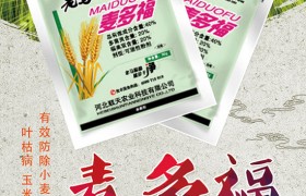 地膜棉花倒伏之后该怎么办？地膜棉花倒伏防治方法！