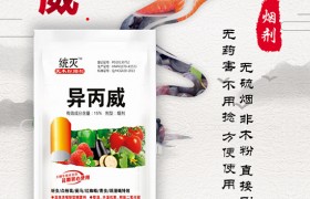 油菜苗期如何做好虫害防治？