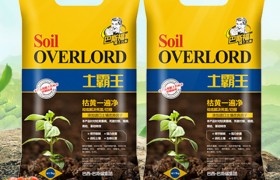 小麦叶子发黄怎么办？小麦叶子发黄防治技巧