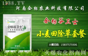 小麦除草剂什么时候不能打？小麦除草剂正确打药时间