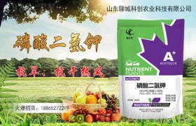 玉米种肥应该用什么肥？有哪些好处？