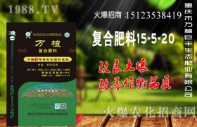 玉米应该在什么时候追肥？用哪种肥料？