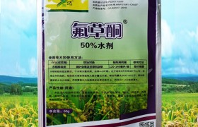 水稻青苔怎么办？水稻青苔防治方法