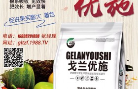 甘薯遇到了甘薯金花虫怎么办？甘薯金花虫的防治方法