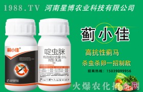 玉米拧芯罪魁祸首是谁？玉米拧芯防治措施！