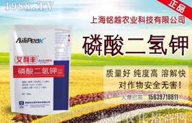 水稻病虫害可以选择哪些药剂？