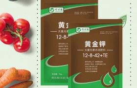 豌豆应该怎么种？豌豆的种植时间与管理技术