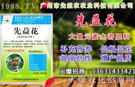 干热风对小麦有啥影响？干热风预防措施！