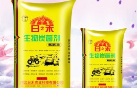 2019小麦什么时候种植，小麦种植注意要点！