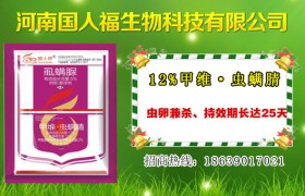为什么会发生玉米螟？玉米螟防治时期！