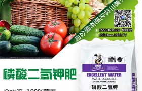 如何提高绿豆产量？绿豆高产的方法