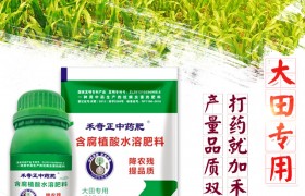 春玉米要怎样施肥？春玉米施肥方法