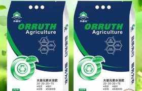 黑玉米如何种植？黑玉米的高产栽培技术