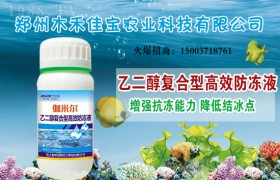 低温障碍对玉米有什么伤害？玉米低温障碍应对措施！