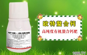 花生青枯病发病特征、传播途径、发病条件和预防措施