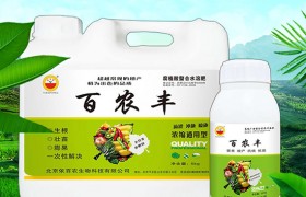 红薯什么季节栽种,如何能将红薯栽种好？