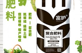 春季玉米科学施肥建议