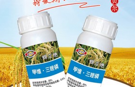 小麦除草怎么选择除草剂？我来教你吧！