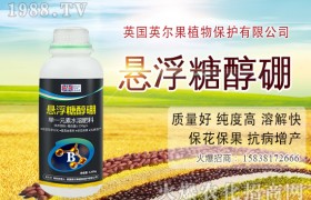 种植向日葵应该在什么时候施肥？怎么施？