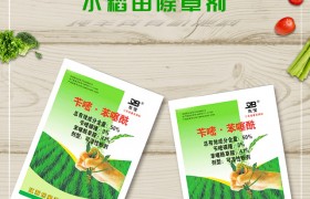 水稻扬花期如何喷药？水稻扬花期喷药技巧