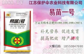 大麦种植时间在什么时候？大麦播种方法！