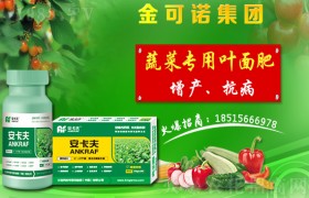 蚕豆种植对环境有什么要求？蚕豆田间管理技术！