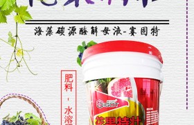 蚕豆怎样种植才能高产，蚕豆的种植时间和方法！