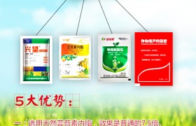 小麦穗期有哪些病虫害？小麦穗期病虫防控