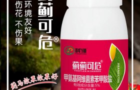 稻绿蝽怎么治？稻绿蝽发生规律以及防治方法！