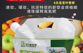 水稻根外施肥应该用什么肥？水稻施用叶面肥的种类！