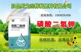 高粱想要高产应该如何施肥？高粱施肥技术！
