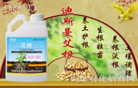 种植玉米应该如何施肥？玉米科学施肥方法！