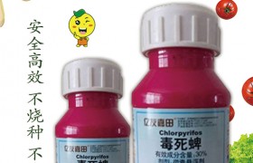 毒死蜱该如何使用？毒死蜱使用方法！
