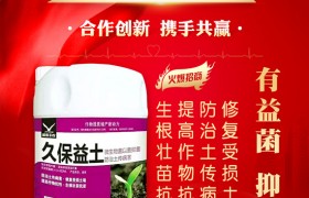 “氮磷钾”玉米统统需要它，如何施撒有方法！