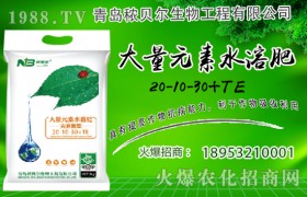 玉米种子为何会出苗差？玉米种子催芽方法！