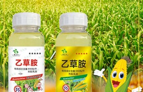 玉米秸秆变成肥 要注意哪些事项？