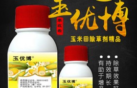 4个好方法，以后再也不怕玉米螟了！